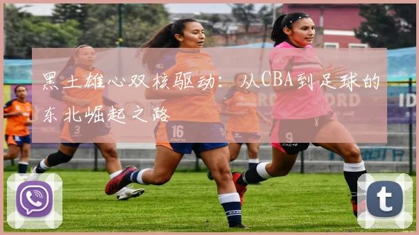 黑土雄心双核驱动：从CBA到足球的东北崛起之路