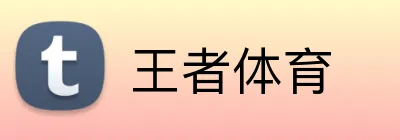 王者体育 Logo